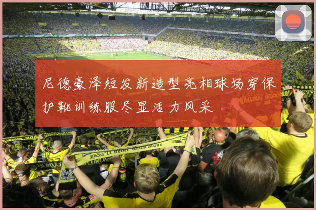 尼德豪泽短发新造型亮相球场穿保护靴训练服尽显活力风采