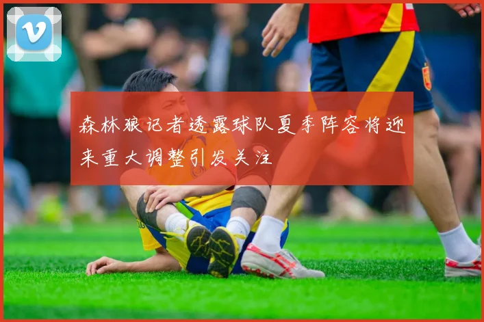 森林狼记者透露球队夏季阵容将迎来重大调整引发关注