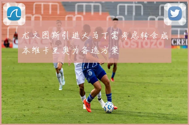 尤文图斯引进大马丁需考虑转会成本维卡里奥为备选方案