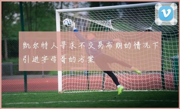 凯尔特人寻求不交易布朗的情况下引进字母哥的方案